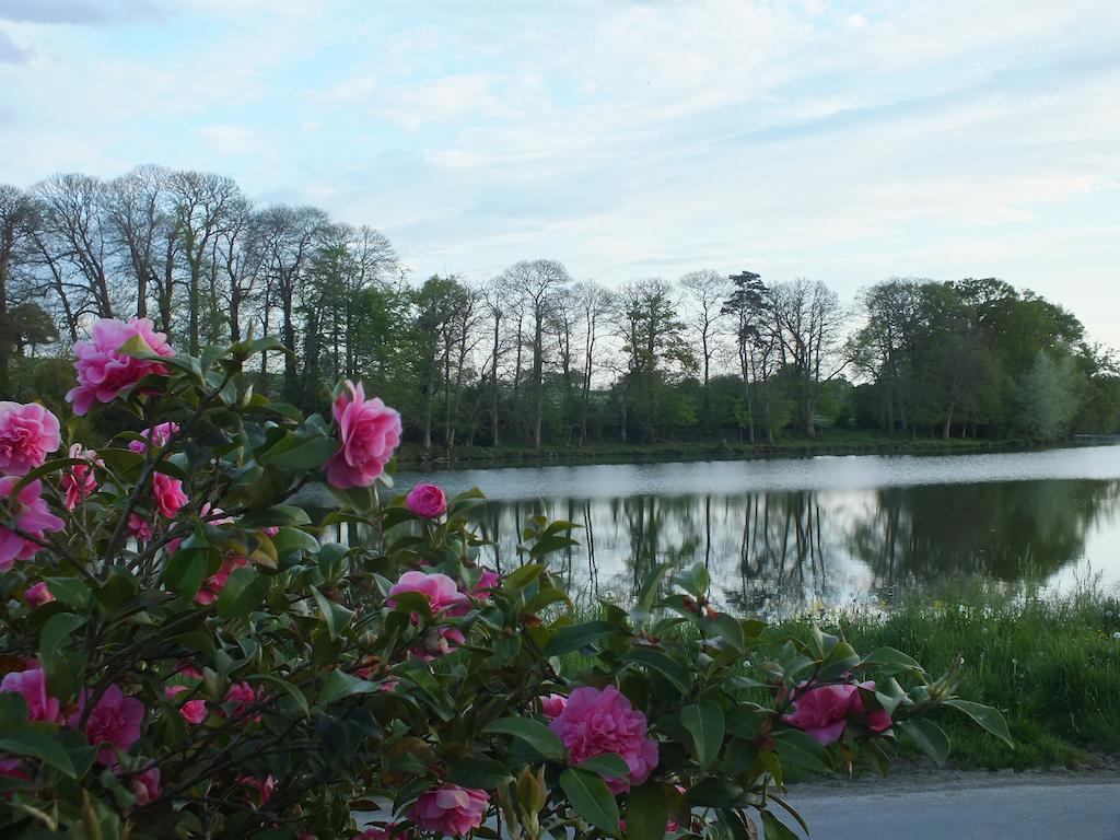 Chambre D'Hotes - La Rigaudiere Le Theil-de-Bretagne Екстер'єр фото